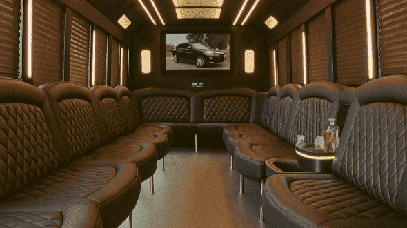 28 Passenger Limousine Bus Interior